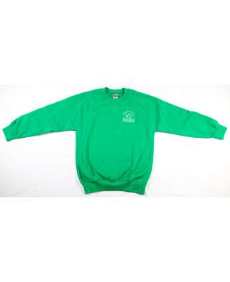 Boys Crew Neck Sweatshirt with Emb Logo